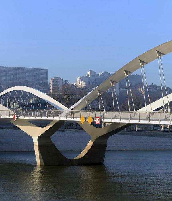 Lyon 市的新地标——Schuman Bridge