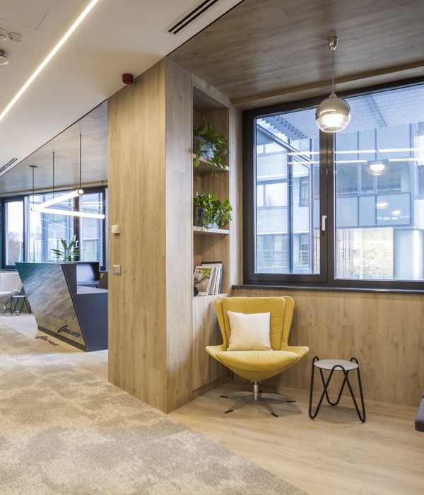 BalaSys IT 办公室  LEVEL UP Office Design