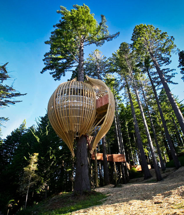 Yellow Treehouse Restaurant | 自然与建筑的完美融合