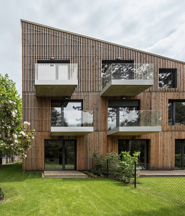 Kamenice Villas / NEW HOW architects - 设计融入自然的双子别墅