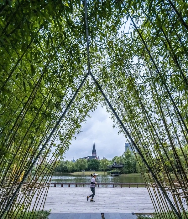 江阴锦艺·天鹅湖公园 | 自然之境，城市绿洲