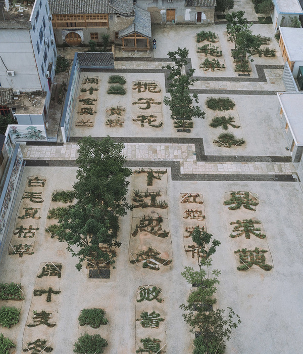 本草园 | 历史街区的草药景观新装