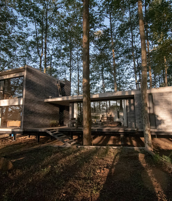 Casa Negra | ArquitectónicA Cecilia Yarmuch + Alejandro Aguilera