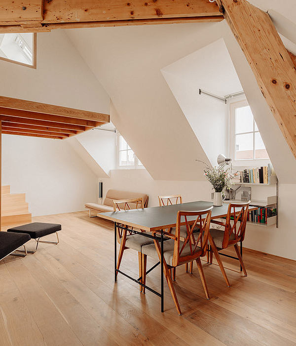 Amsterdam Loft: Preserving 1924’s Charm with Modern Flair