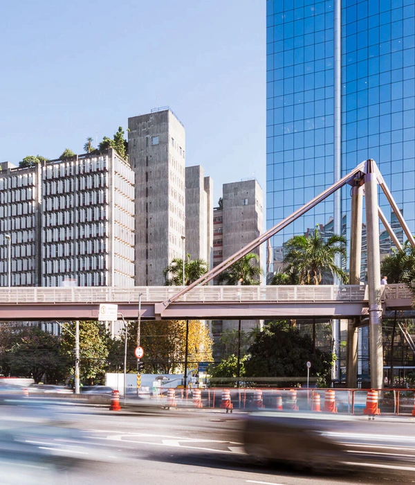 Marcelo Fromer Footbridge