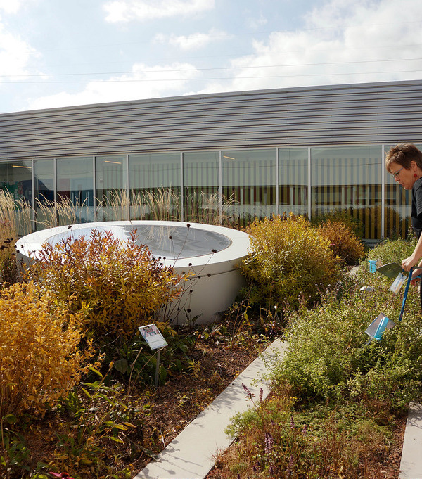 芝加哥 Gary Comer 青年活动中心绿色屋顶改造