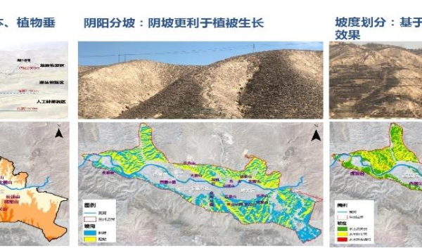 双碳城市空间体系的探索与实践