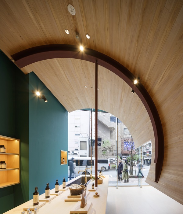 遇见树店 | Naruse Inokuma Architects | 2023 | 日本