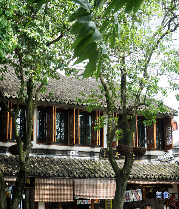 A town south of the Yangtze River in China—Zhou zhuang