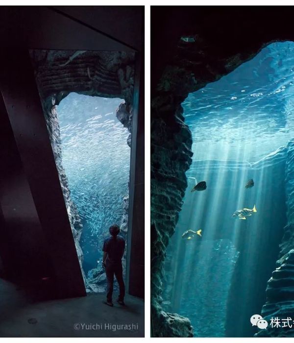 上越市立水族博物馆 | 沉浸式体验日本海的壮美海景