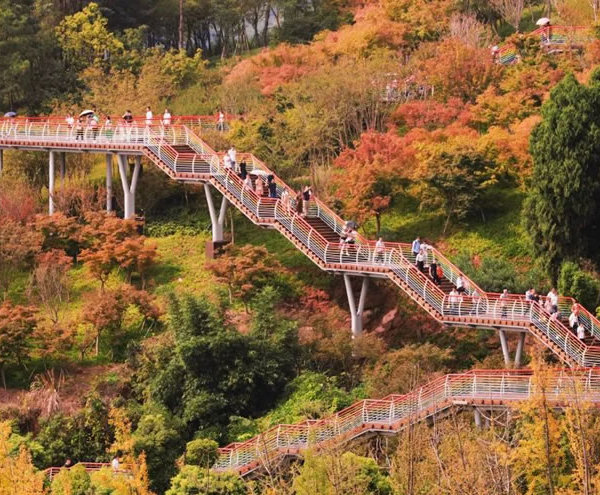 龙泉山森林公园 | 城市之眼，生态之梦