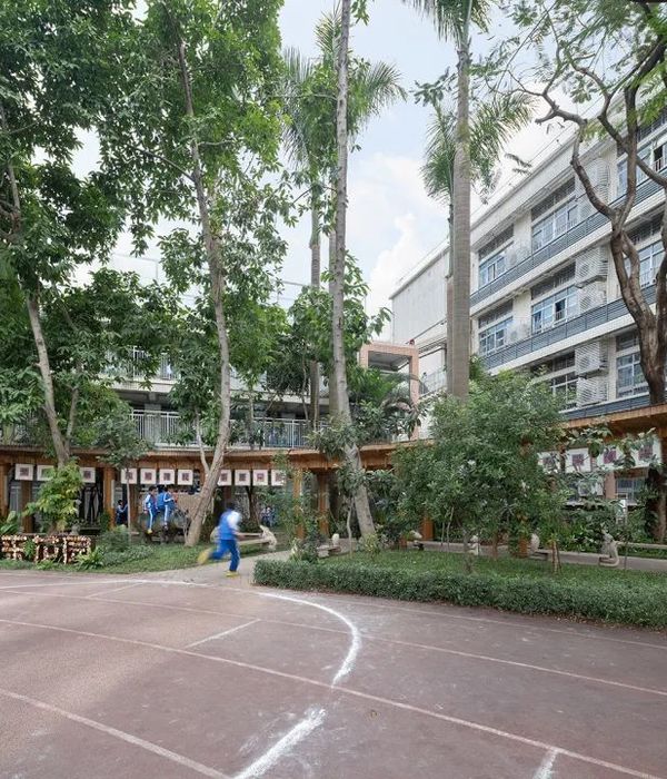 南山区后海小学 | 共建花园，探索自然之美