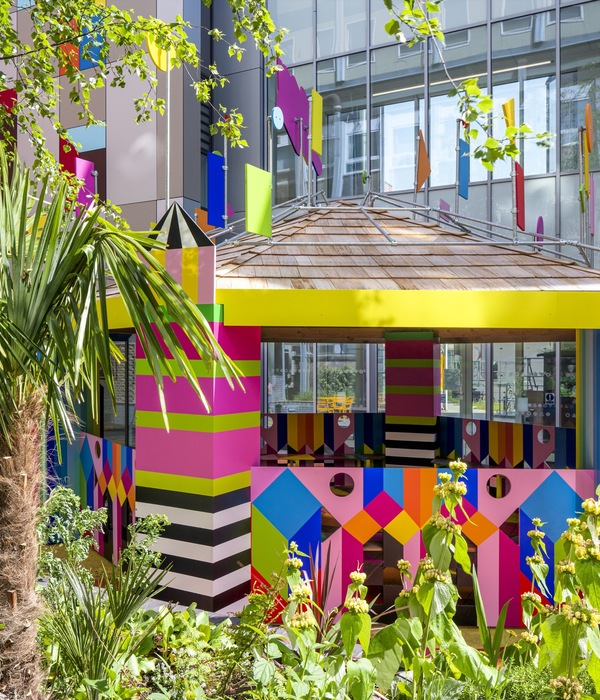 Joy Garden Courtyard / Morag Myerscough 