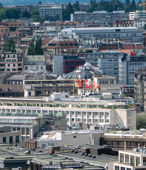 The Roof Tops of Geneva