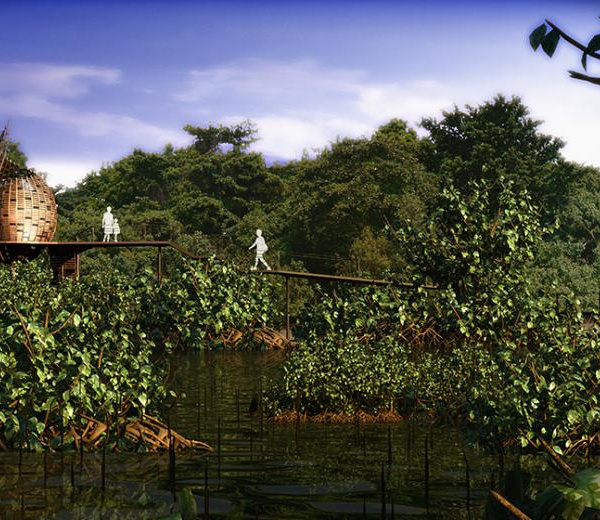 新加坡 Sungei Buloh 湿地公园——自然与设计的和谐融合