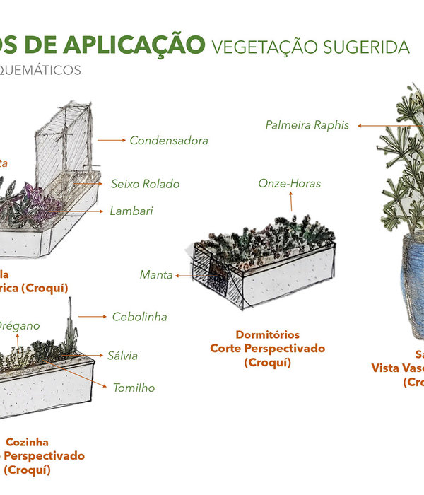 Proposta de Vegetação para Jardineiras - Projeto Thiago