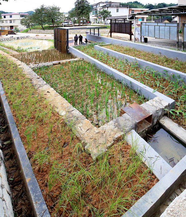 广州莲麻村生态雨水花园 | 低技策略与废旧材料利用