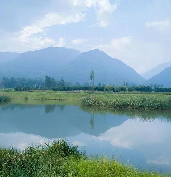 秦岭国家植物园田峪河湿地公园