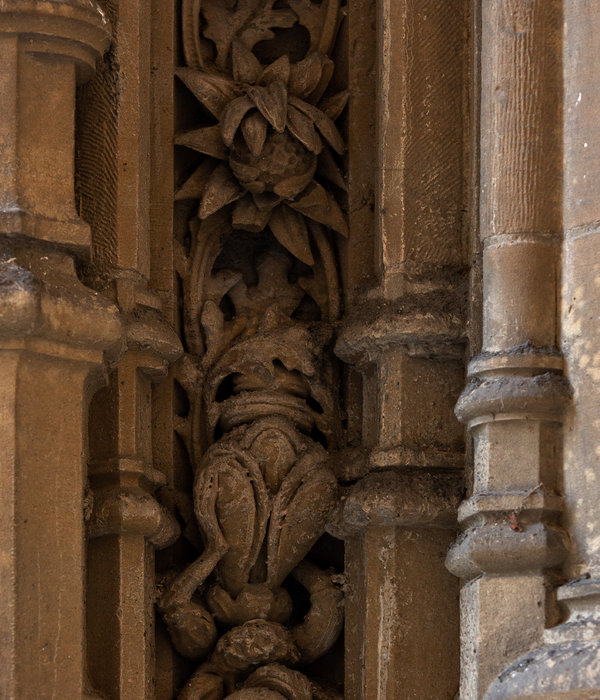 Extrañas criaturas en la catedral de Vitoria Parte 2