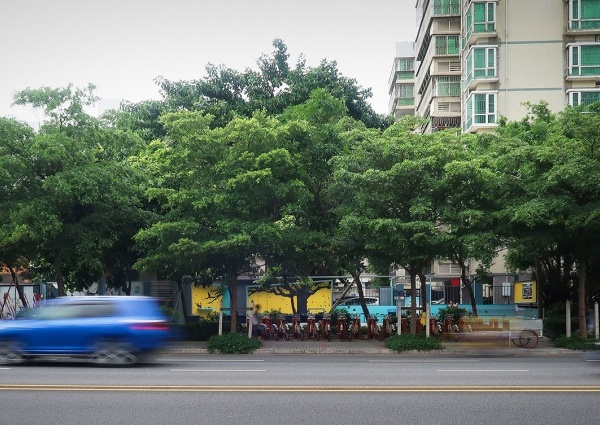 蛇口社区“定格的风景”改造，打造公共活力空间