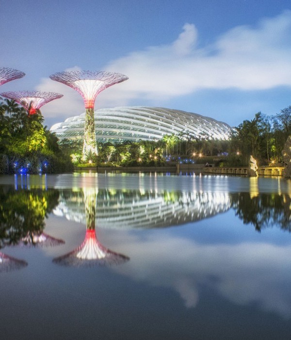 新加坡 Gardens by the Bay | 科技与自然的完美融合