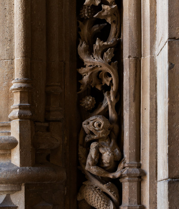 Extrañas criaturas en la catedral de Vitoria Parte 1