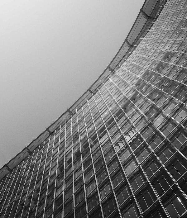 Staring at Buildings - B/W Edition