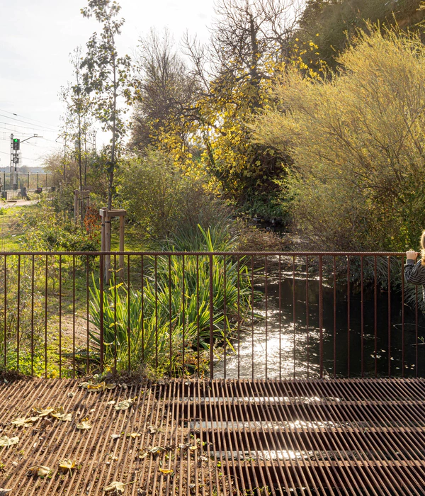 Restauración ambiental de los entornos del Rec Comtal en Vallbona