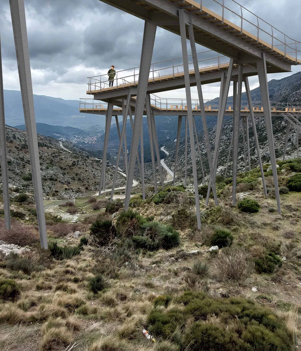 The Mountain Stilt Walker