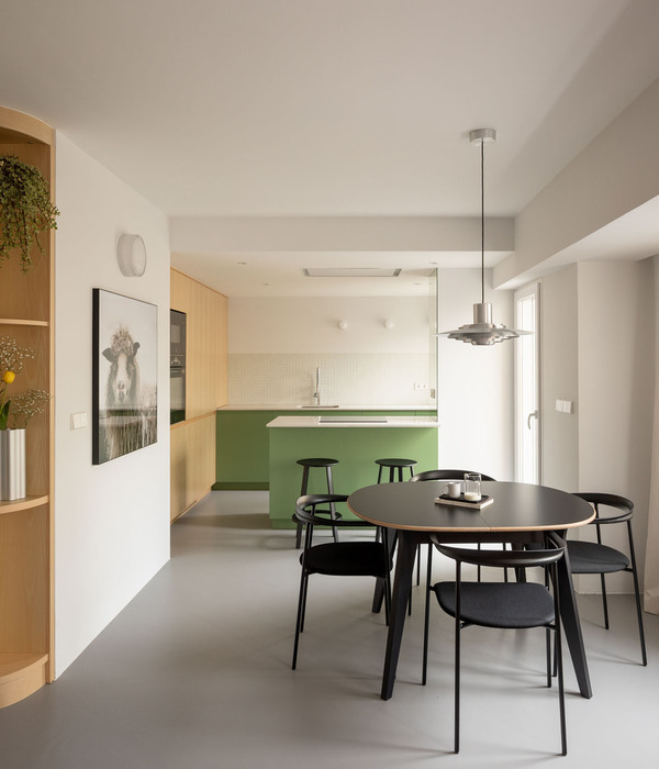 西班牙 Vitoria-Gasteiz OLG50 住宅设计，多功能家具打造通透空间