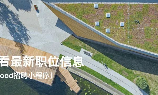 沈阳建筑大学“生长中的熊猫舞台” | 竹构与场地的共生设计