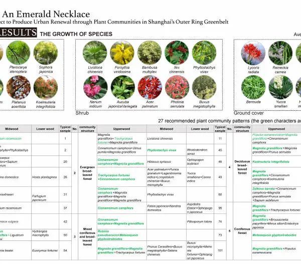 上海外环林带植物群落评估与更新研究 | 从绿带到珍珠项链