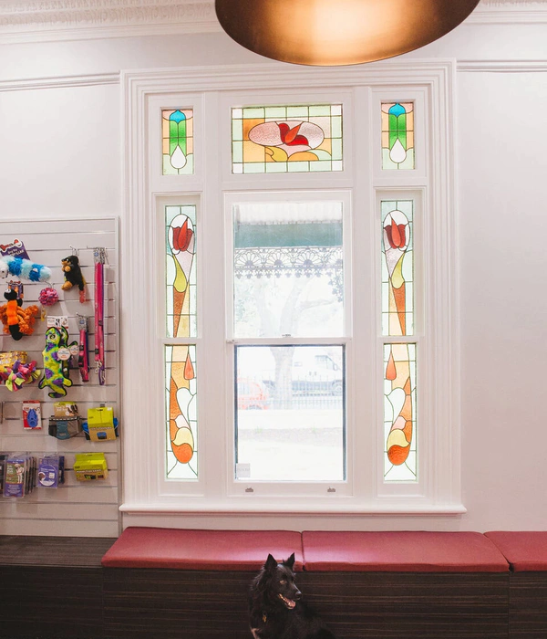 Wayville Veterinary Clinic