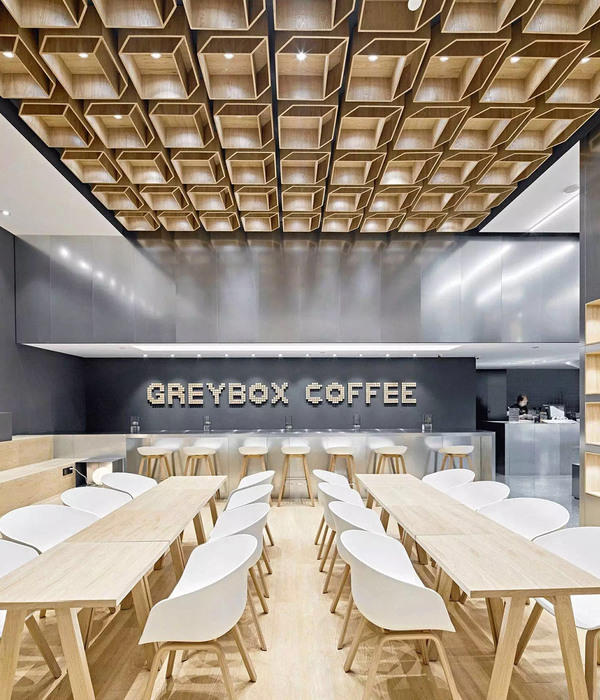 Anastasiya Gushchina丨咖啡店丨成都GREYBOX COFFEE