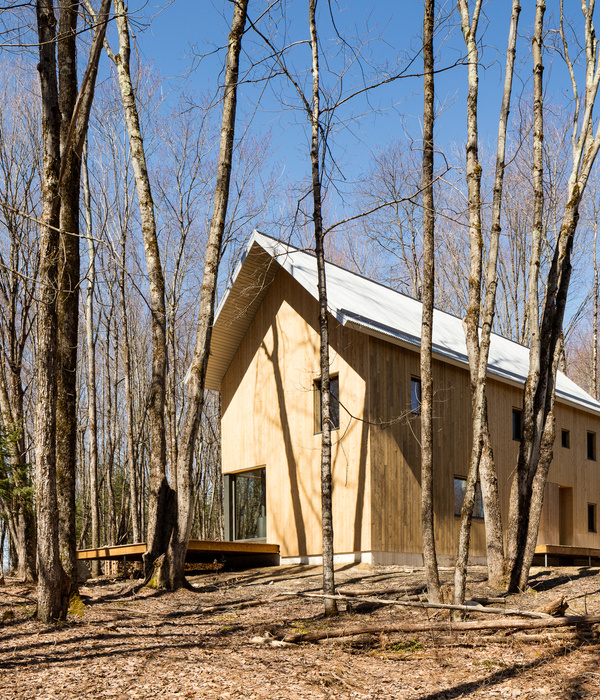 Chalet Pic-Bois / Ravi Handa Architect