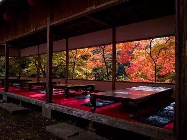 日式禅意庭院 | 生活艺术化·艺术生活化