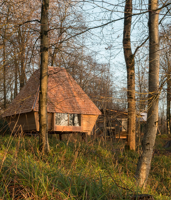 Woodland Cabin / AA Design and Make