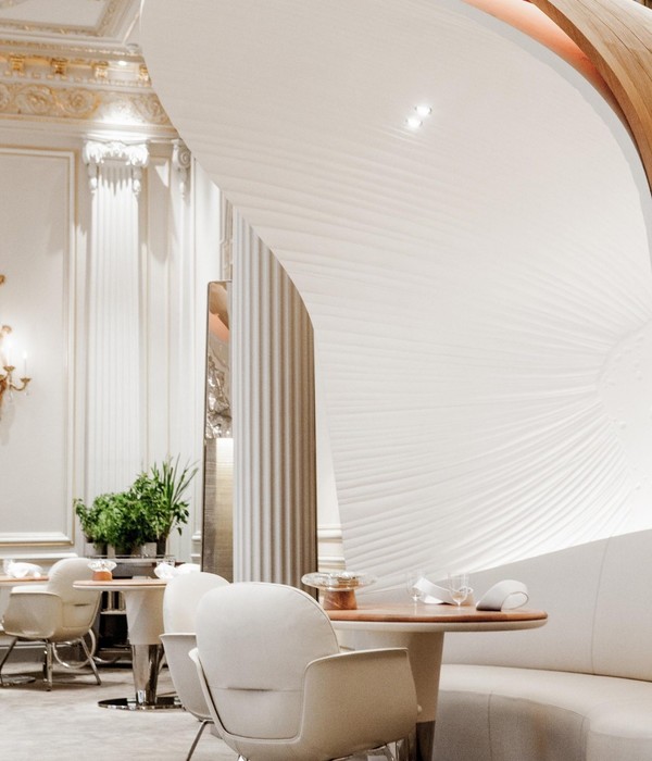 Patrick Jouin作品 | ALAIN DUCASSE AU PLAZA ATHÉNÉE，非凡高雅